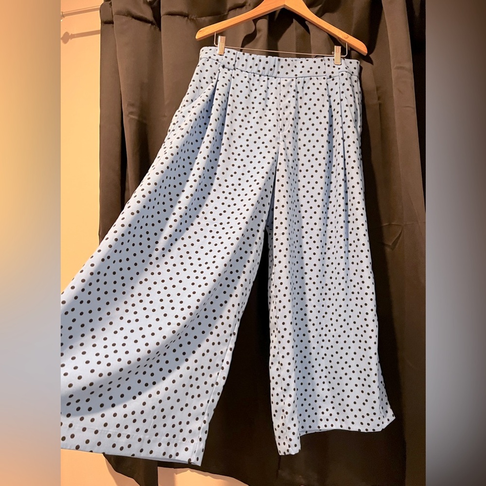 Zara Blue Polka Dot Wide Pants